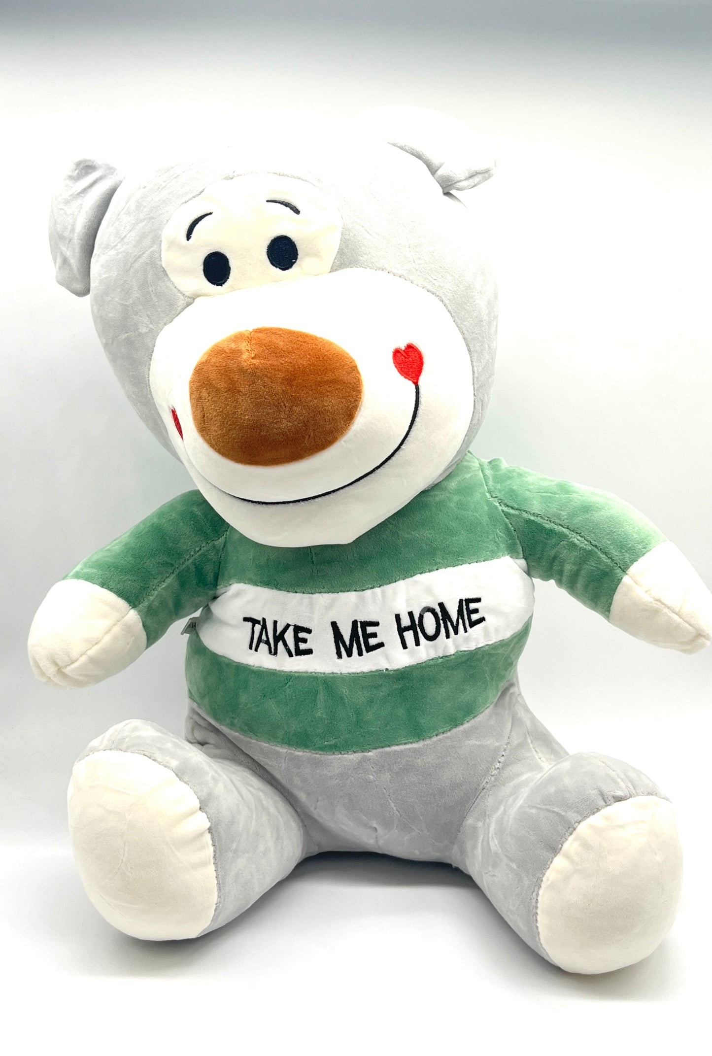 MUNECO PERRO TAKE ME HOME TY80