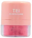 TEI COSMETICA BLUSHER POWER TEI8105