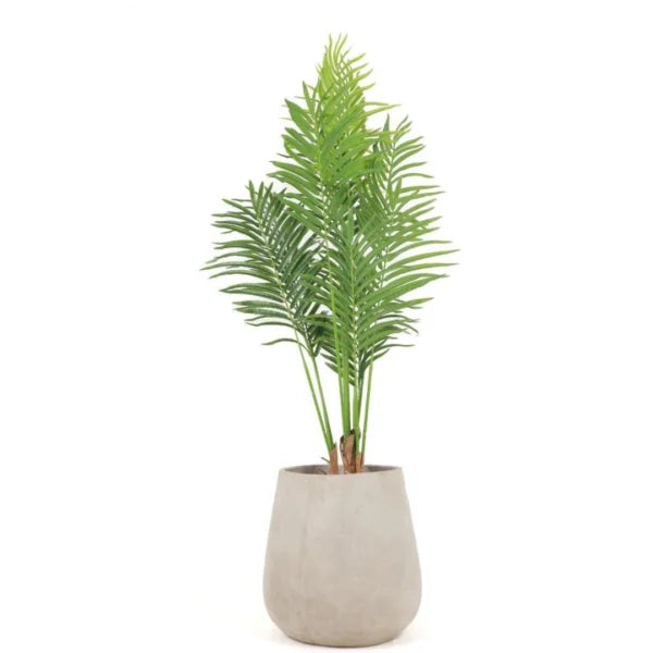 LADY PALM 210CM SG220505