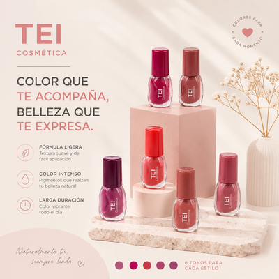 LIP GLOSS MATTE TEI TEI8104