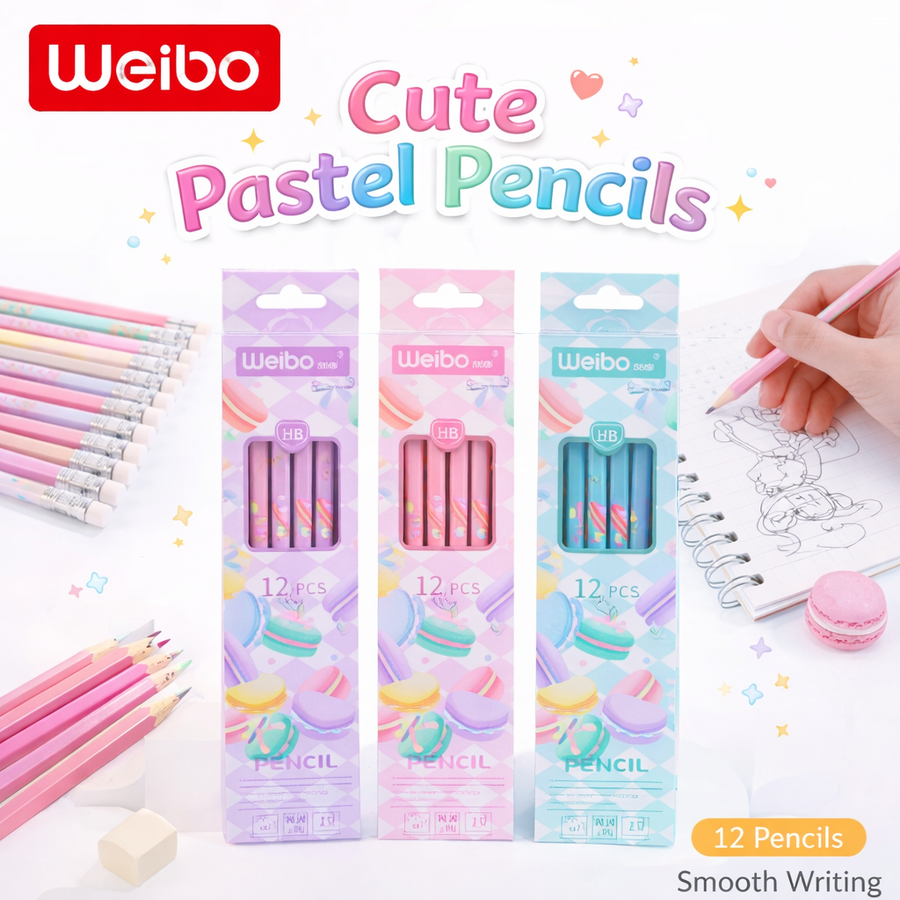 LAPIZ PASTEL DEGRADADO 12PCS WB-9552