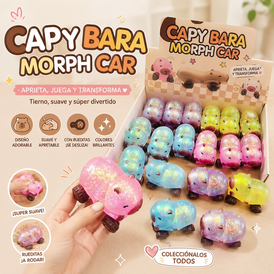 AUTO CAPYBARA ANTIESTRES  SQH-001