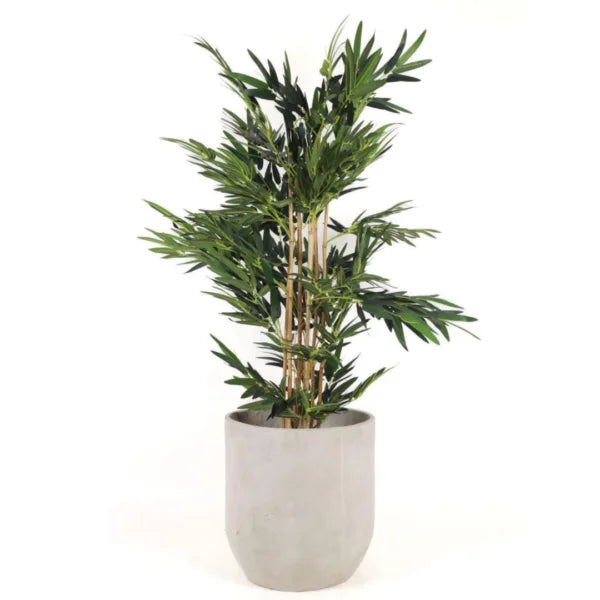 BAMBOO 150CM SGBB150 PLANTA