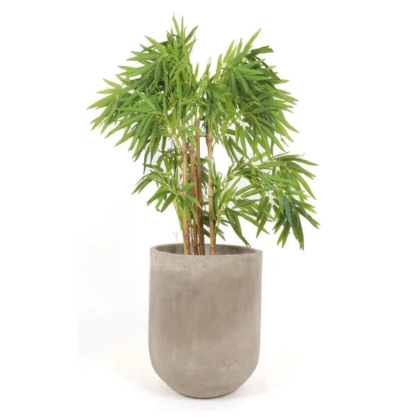 CHINEESE BAMBOO 90CM  CBB090