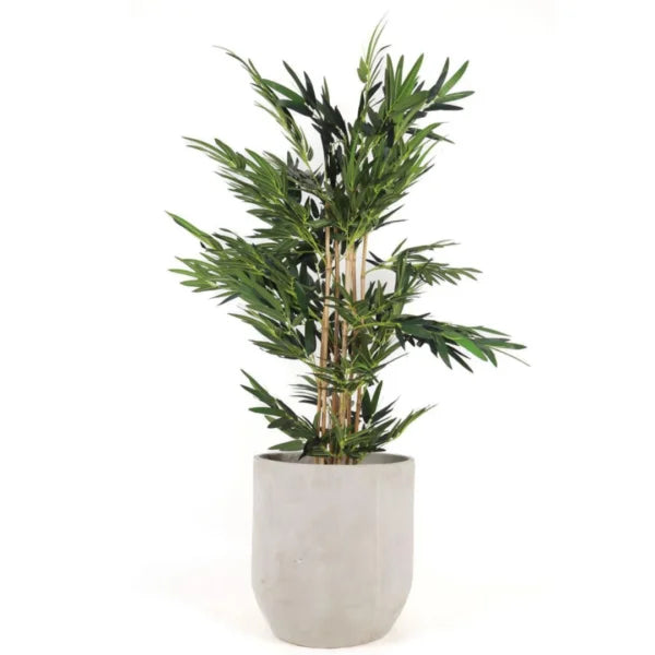 BAMBOO 180CM SGB180 PLANTA