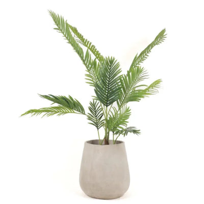 MINI PALM WITH BARK 110CM HAP110 PLANTA