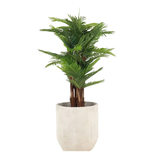 MINI PALM WITH BARK 160CM HAP160
