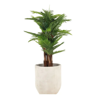 MINI PALM WITH BARK 160CM HAP160 PLANTA