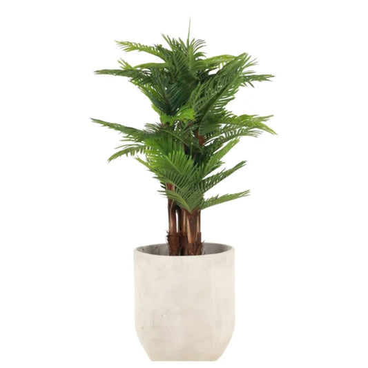 MINI PALM WITH BARK 160CM HAP160