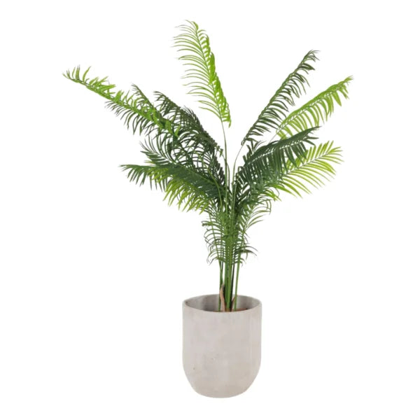 LADY PALM 170CM SG220507