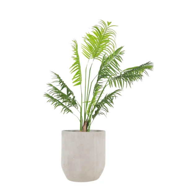 LADY PALM 110CM SG220509