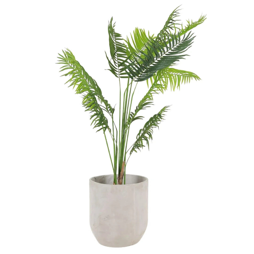 LADY PALM 140CM  SG220508